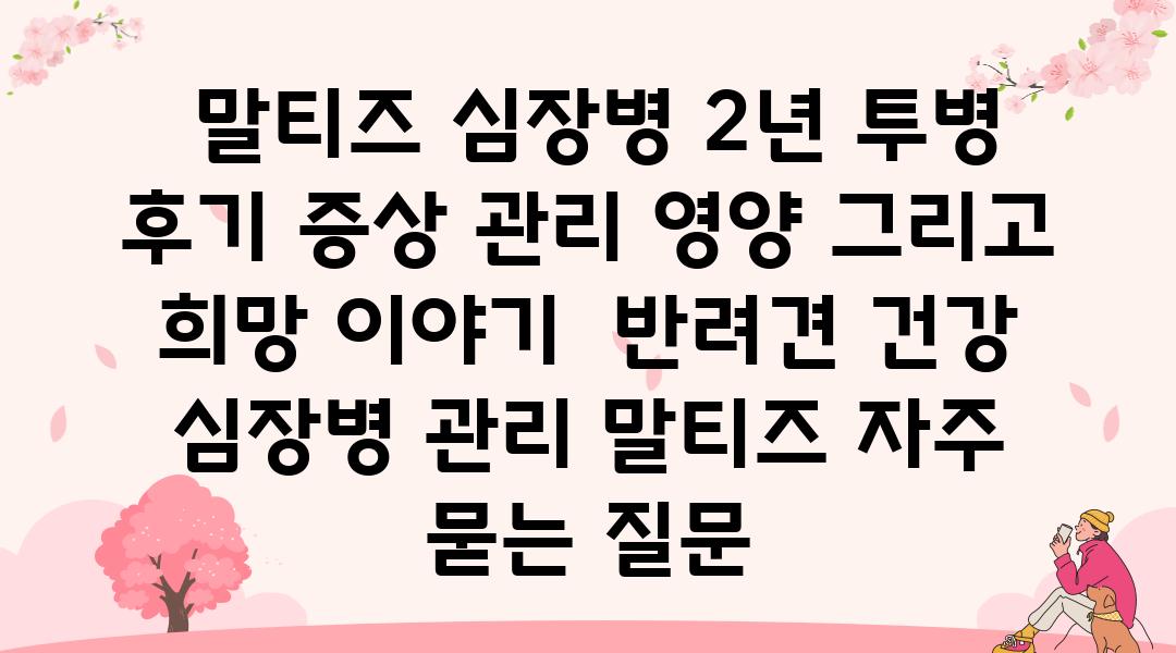  말티즈 심장병 2년 투병 후기 증상 관리 영양 그리고 희망 이야기  반려견 건강 심장병 관리 말티즈 자주 묻는 질문