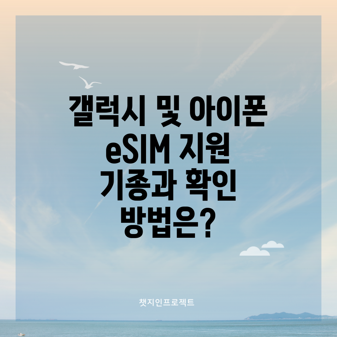 갤럭시 및 아이폰 eSIM 지원 기종과 확인 방법은