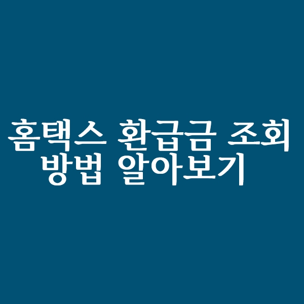  홈택스 국세 환급금 조회방법 알아보기