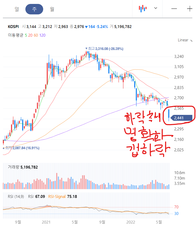 주봉 갭하락은 하락추세 명확화를 천명하였음
