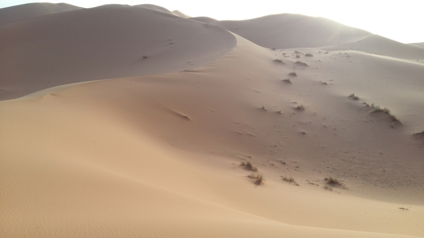 사하라사막-모래언덕