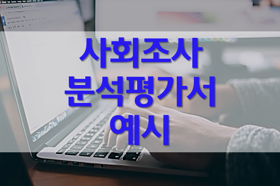  사회 조사 분석 평가서 예시/장애인 복지관