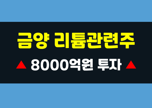  금양 2차전지, 리튬 관련주 8000억원 투자