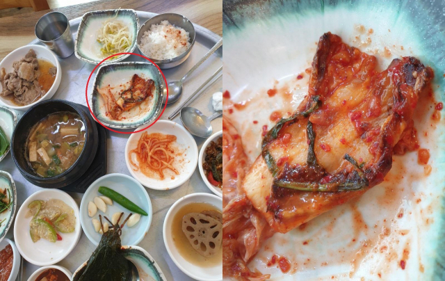  재사용 음식점 이런 식당 없어질 수가 없을까?