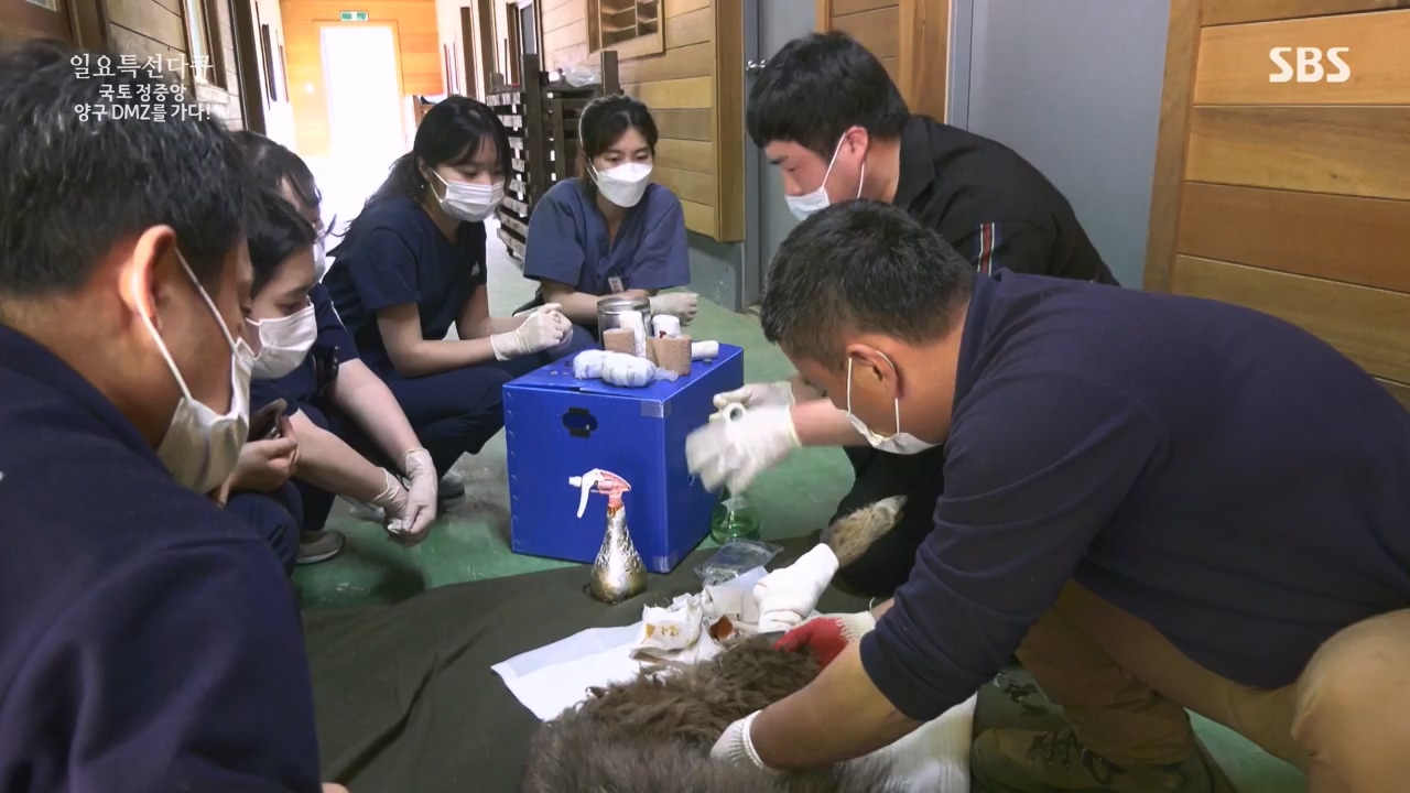 일요특선 다큐멘터리.E344.231204p-NEXT.mp4_20231206_194838.886.jpg