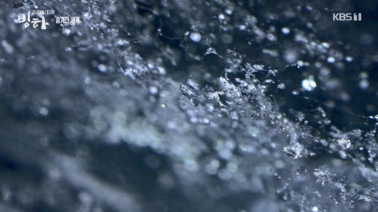 KBS 대기획 3부작 빙하.E01.240308p-NEXT.mp4_20240310_145928.721.jpg