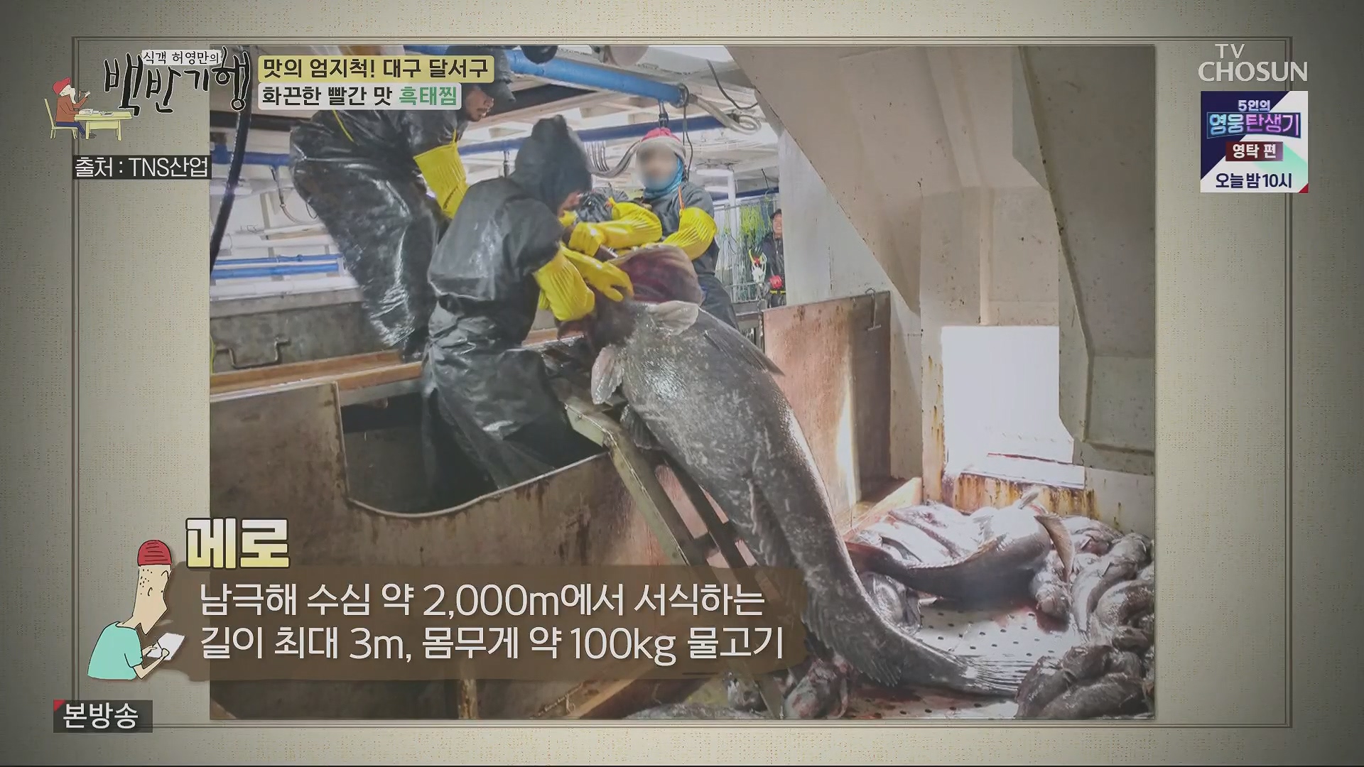 식객 허영만의 백반기행.E199.230505p.H264-F1RST.mp4_20230507_180439.310.jpg