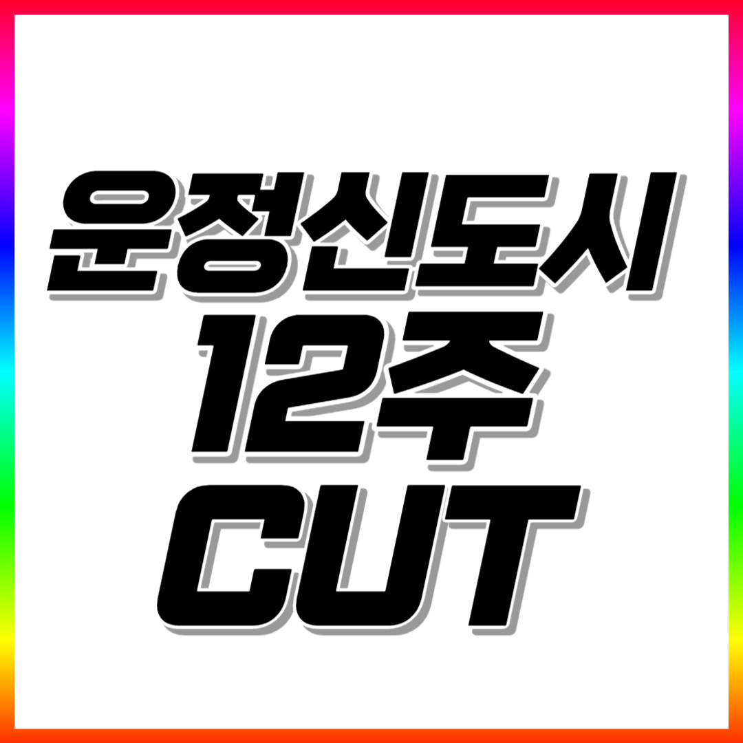  운정신도시 초등 수학과외 운정 고등 중학생 영어과외 국어 과학 전과목 일대일 선생님 내신관리
