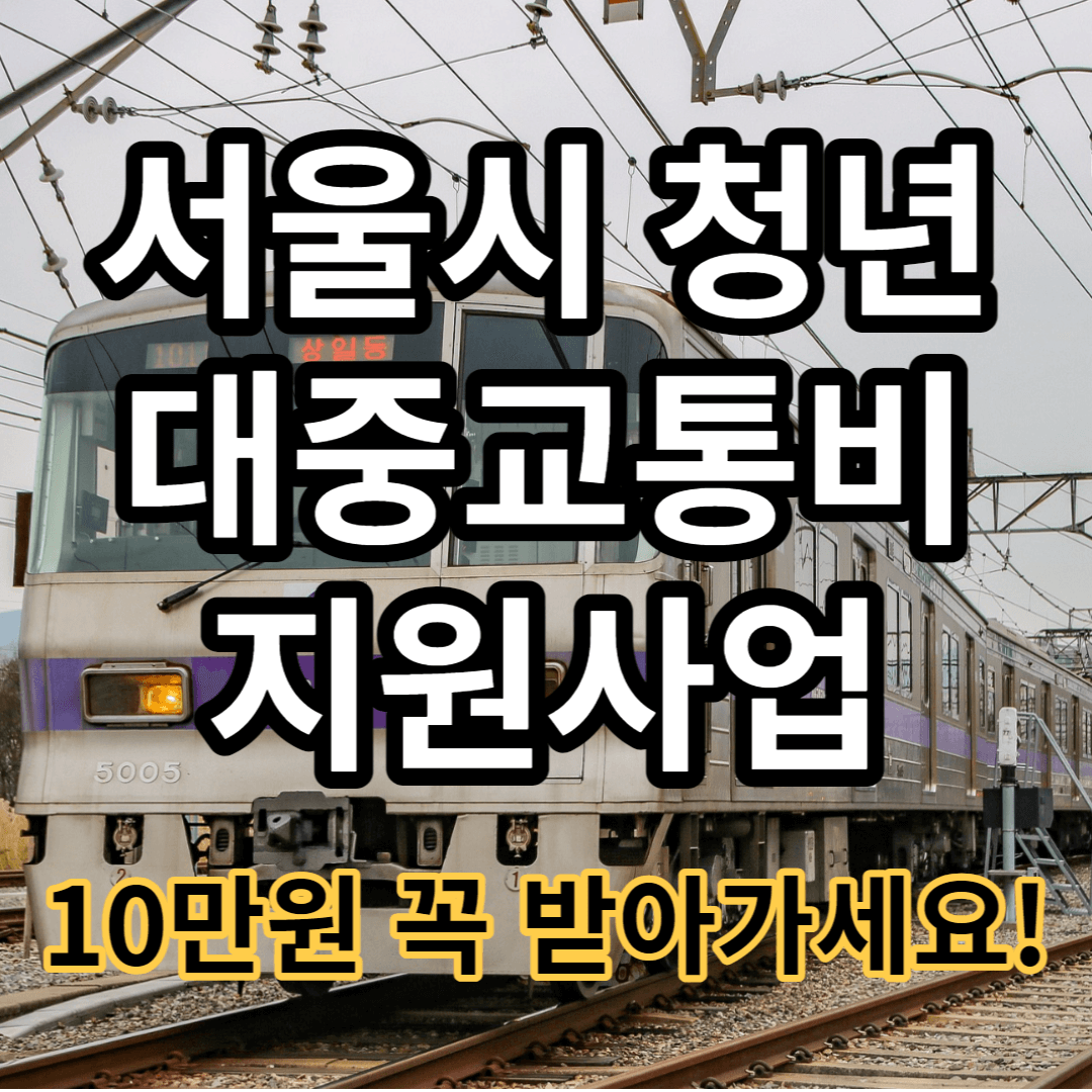 서울시 청소년 대중교통비 지원사업