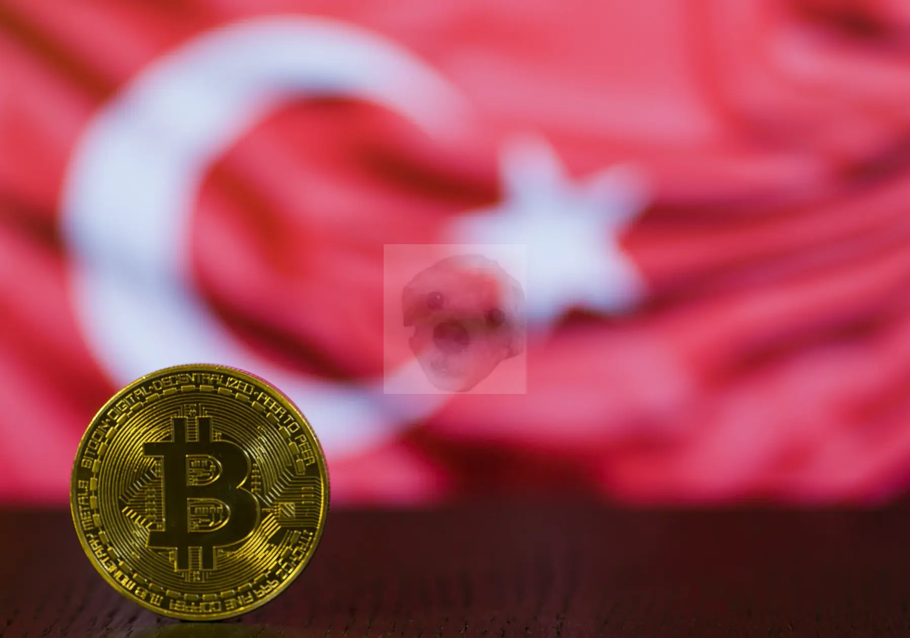 터키 국기와 비트코인