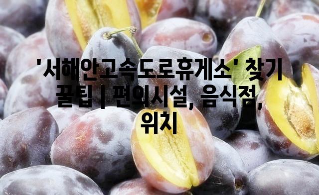 랜덤187