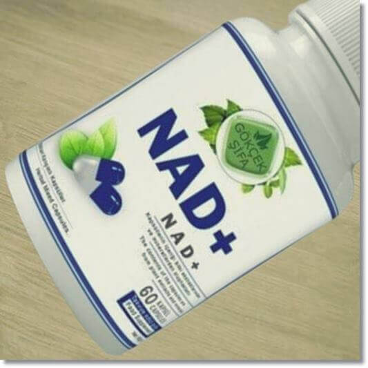 NAD + 는 산화제로써 다른 분자로부터 전자를 받아 환원됩니다.