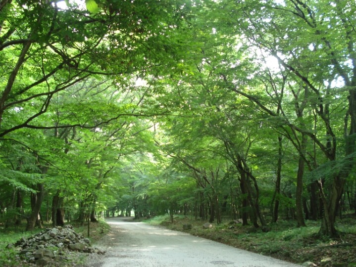유월 이미지