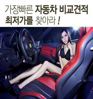  자동차보험료계산기 볼수있는 비교사이트