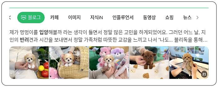 반려동물 입양_1_subsection