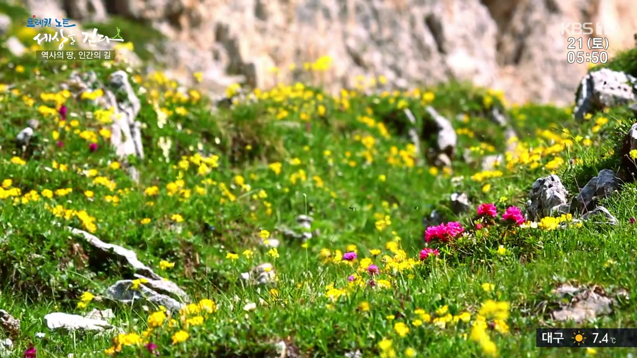 트레킹노트 세상을 걷다.E293.231022p-NEXT.mp4_20231029_165956.873.jpg