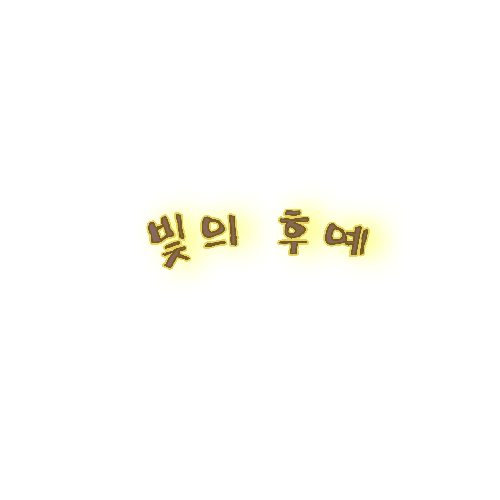 빛의 후예 표지