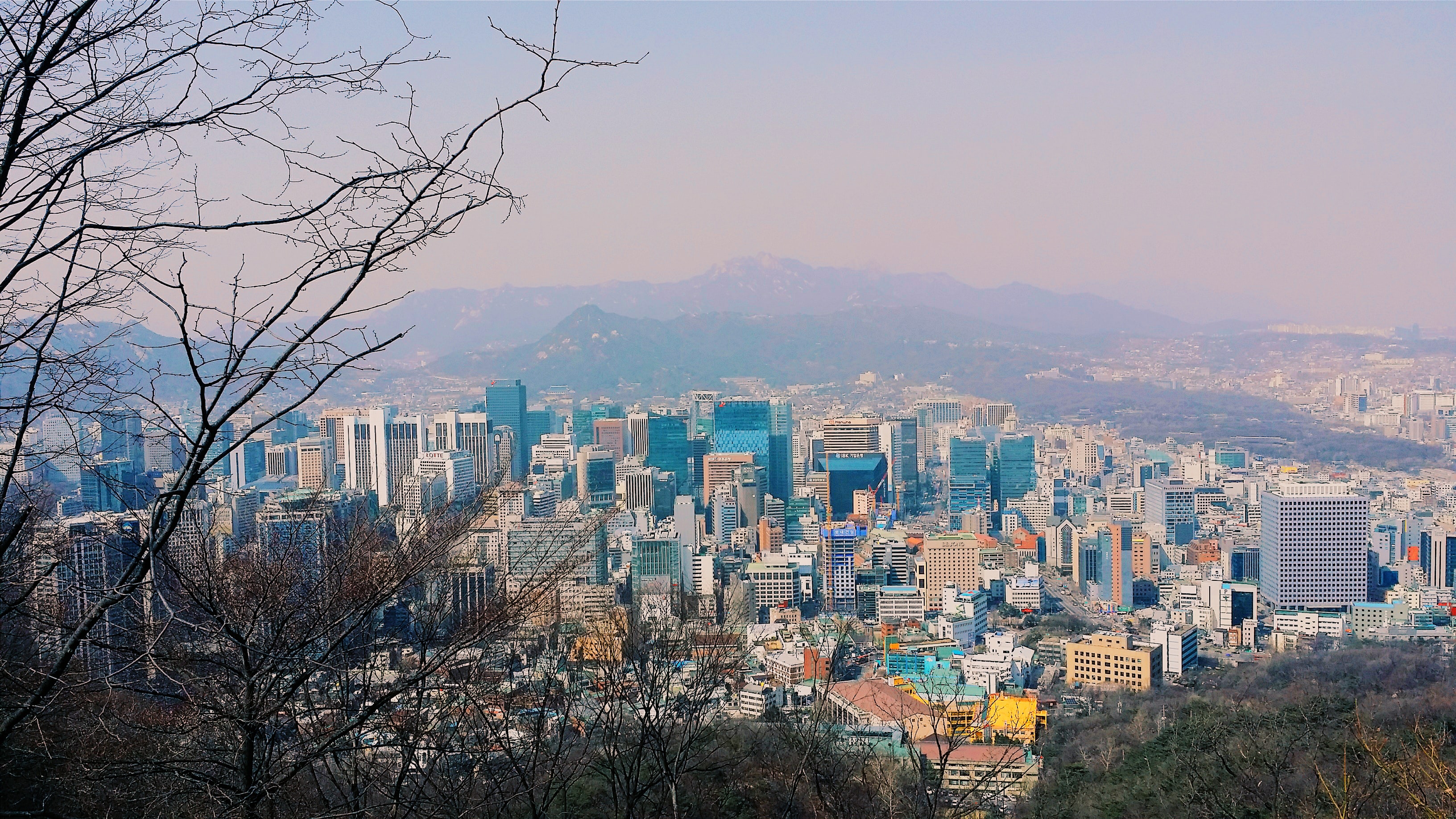 서울과 수도권 단지 변화의 역사(성남&#44; 과천)
