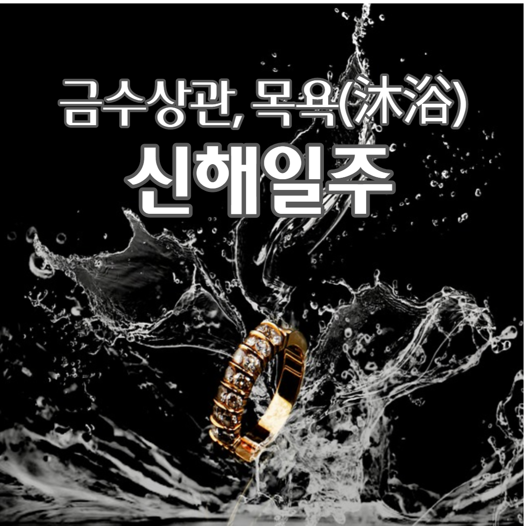  48.금수상관,나체도화 신해일주