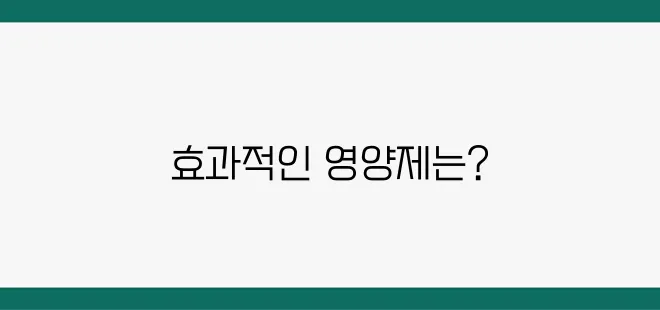 신뢰할 수 있는 혈액순환 영양제 추천 목록입니다.