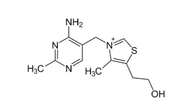 티아민 (Thiamine, Vitamin B1)