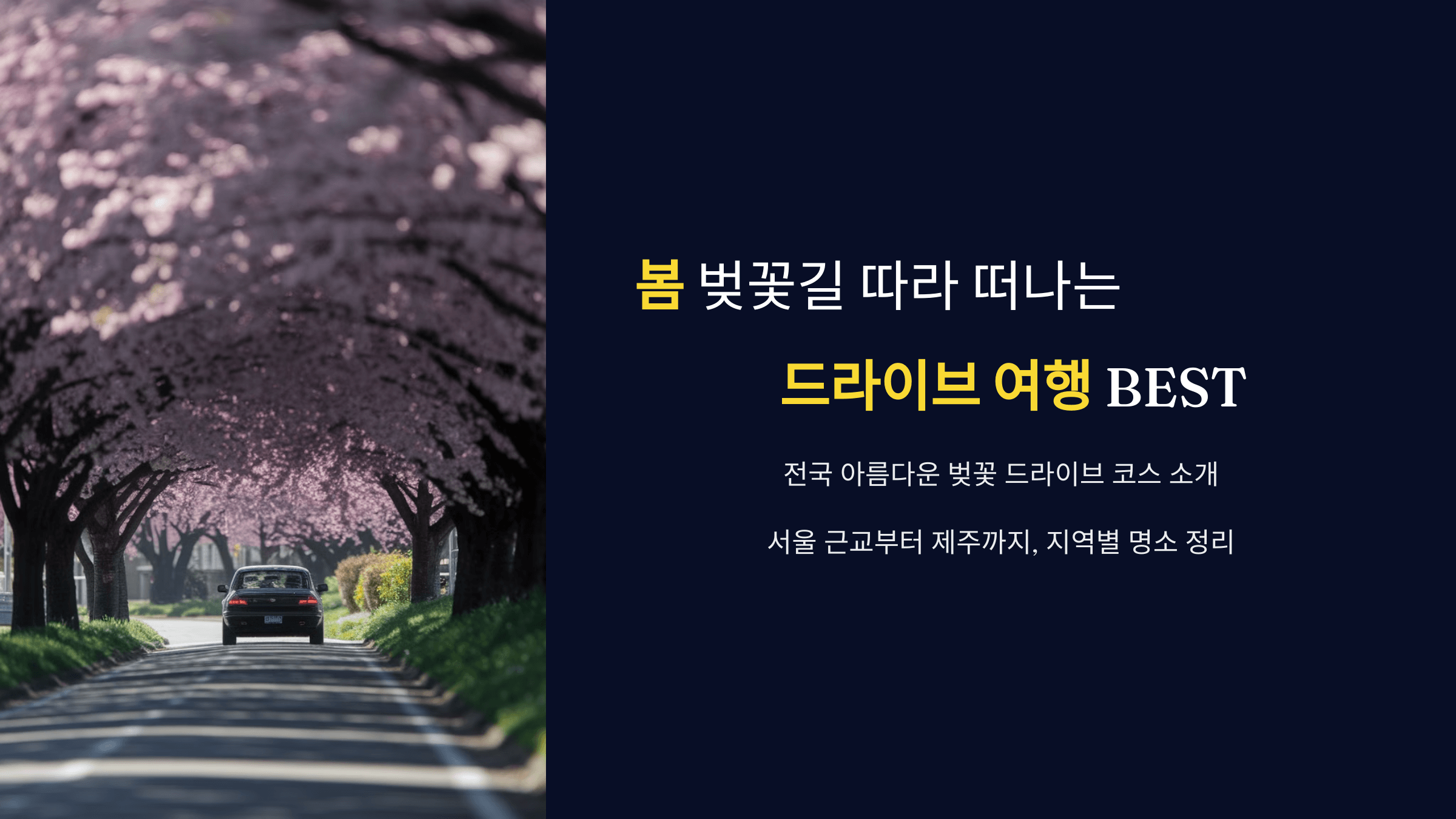 봄 벚꽃길 따라 떠나는 드라이브 여행 BEST