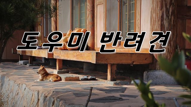  도우미 반려견이라는 생각을 아시나요?