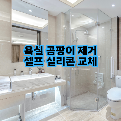 욕실 곰팡이 제거