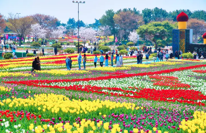 목련 꽃축제&#44; 튤립축제 우럭&#44; 각종 활어 판매&#44; 우럭 한 상&#44; 간장게장 등 판매&#44; 미로공원 태안 가볼만한 곳 추천 여행 정보