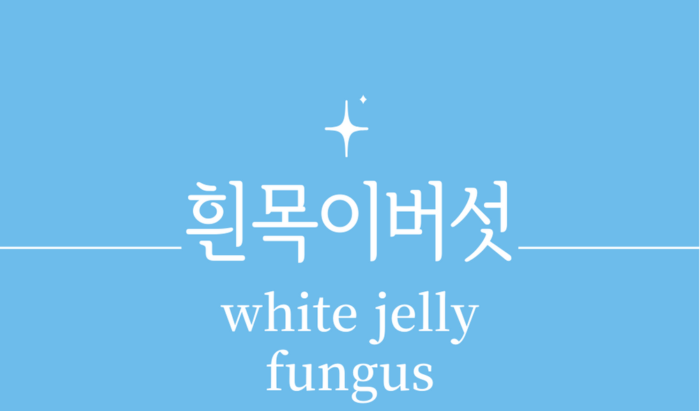 &#39;흰목이버섯 은이버섯(white jelly fungus)&#39;