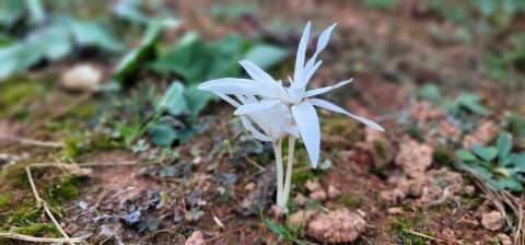 김제상사 이미지