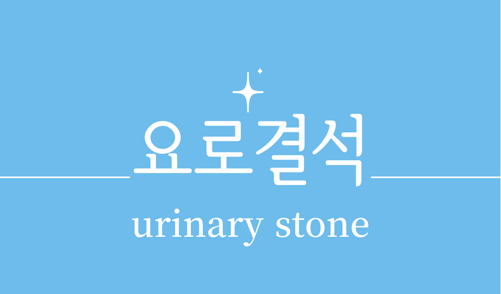 &#39;요로결석(urinary stone)&#39;