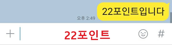 22포인트 보임