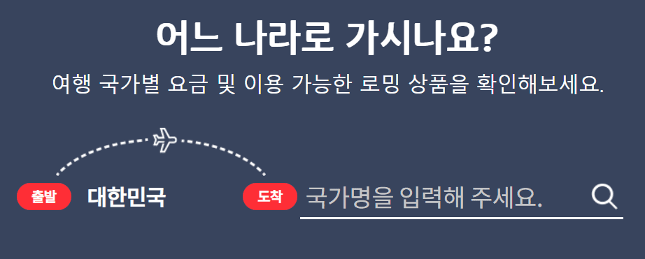 해외로밍사진