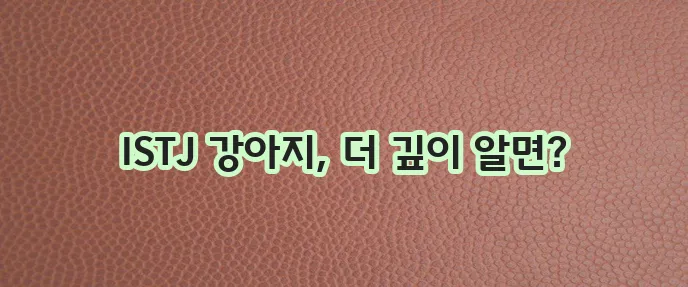 ISTJ 강아지 MBTI 분석, 숨겨진 성격적 특성이 궁금하지 않으신가요?