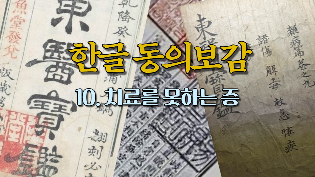  10. 치료를 못하는 증 (내경편 목소리)