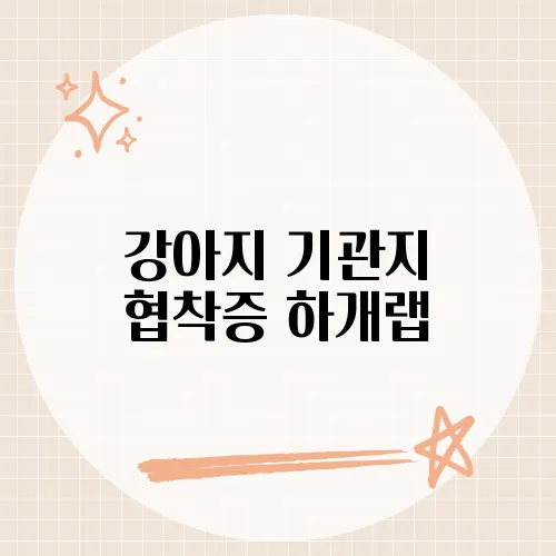 강아지 기관지 협착증 하개랩, 반려견 건강을 위한 최신 치료법과 관리 정보