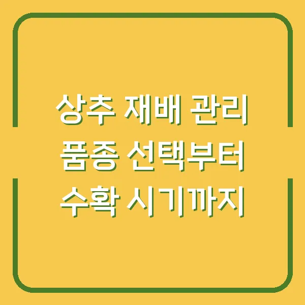 상추 재배 관리 품종 선택부터 수확 시기까지