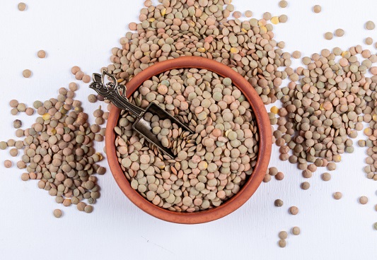  뇌 건강, 다이어트, 심장 건강까지 '싹쓸이' 렌틸콩(lentil) 효능, 먹는 법