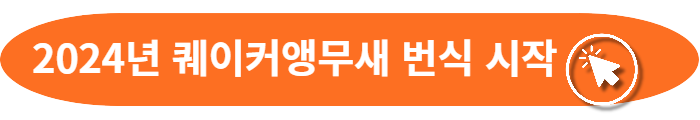 퀘이커앵무새 번식