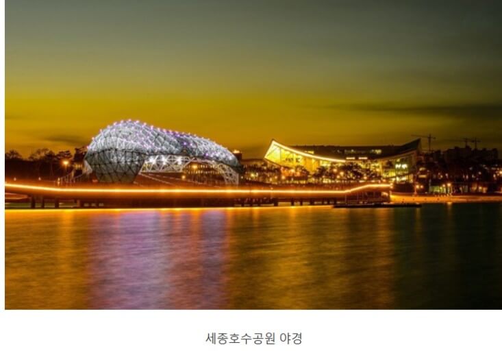 세종특별자치시