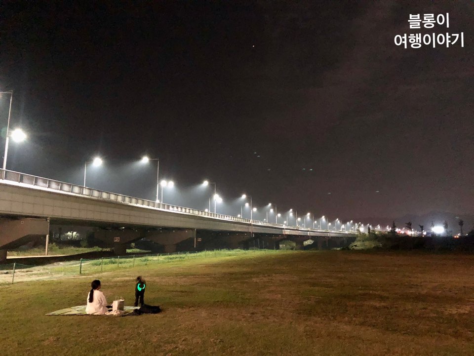  [강아지 산책] 광주에서 대형견을 산책하기 좋은 맛집