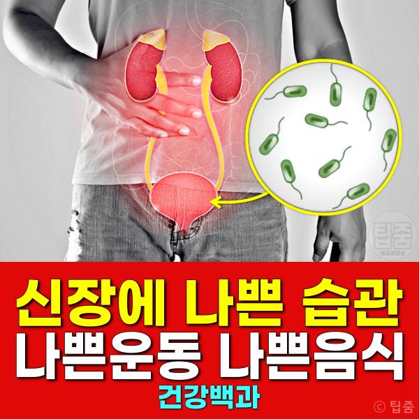 신장 나쁜 습관 신장에나쁜음식 신장에나쁜약 신장에나쁜운동