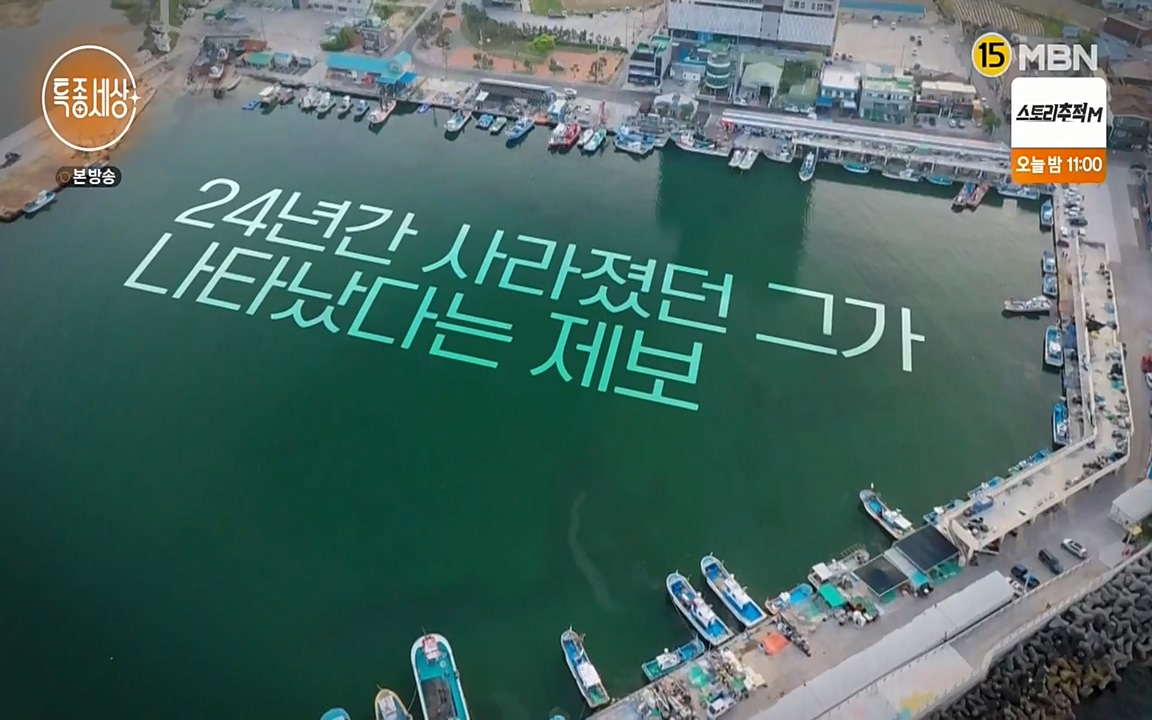 현장르포 특종세상.E530.220513p-NEXT.mp4_20220514_181250.134.jpg