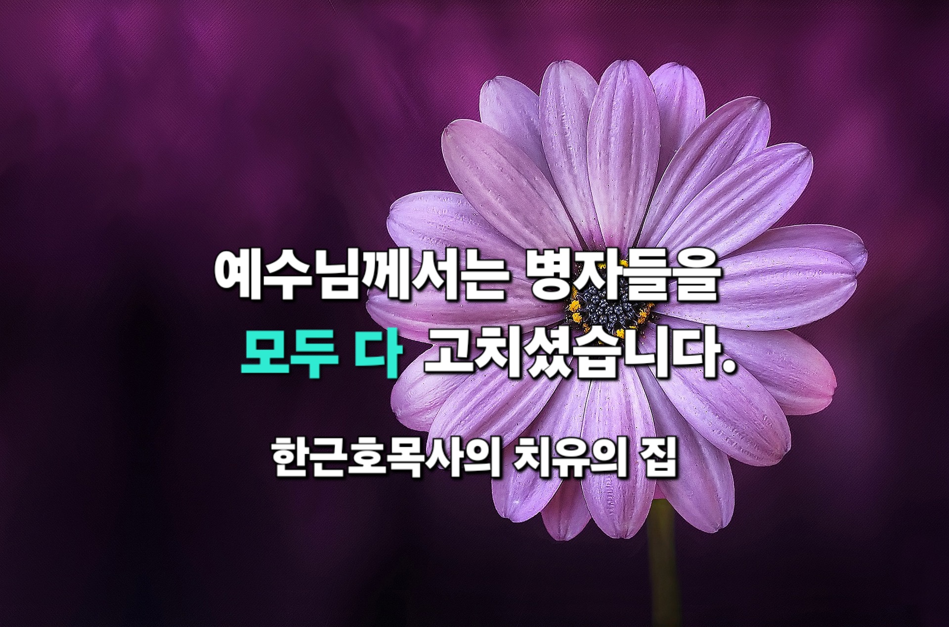 예수님께서는 병자들을 다 고치셨습니다. (마 8:16-17)