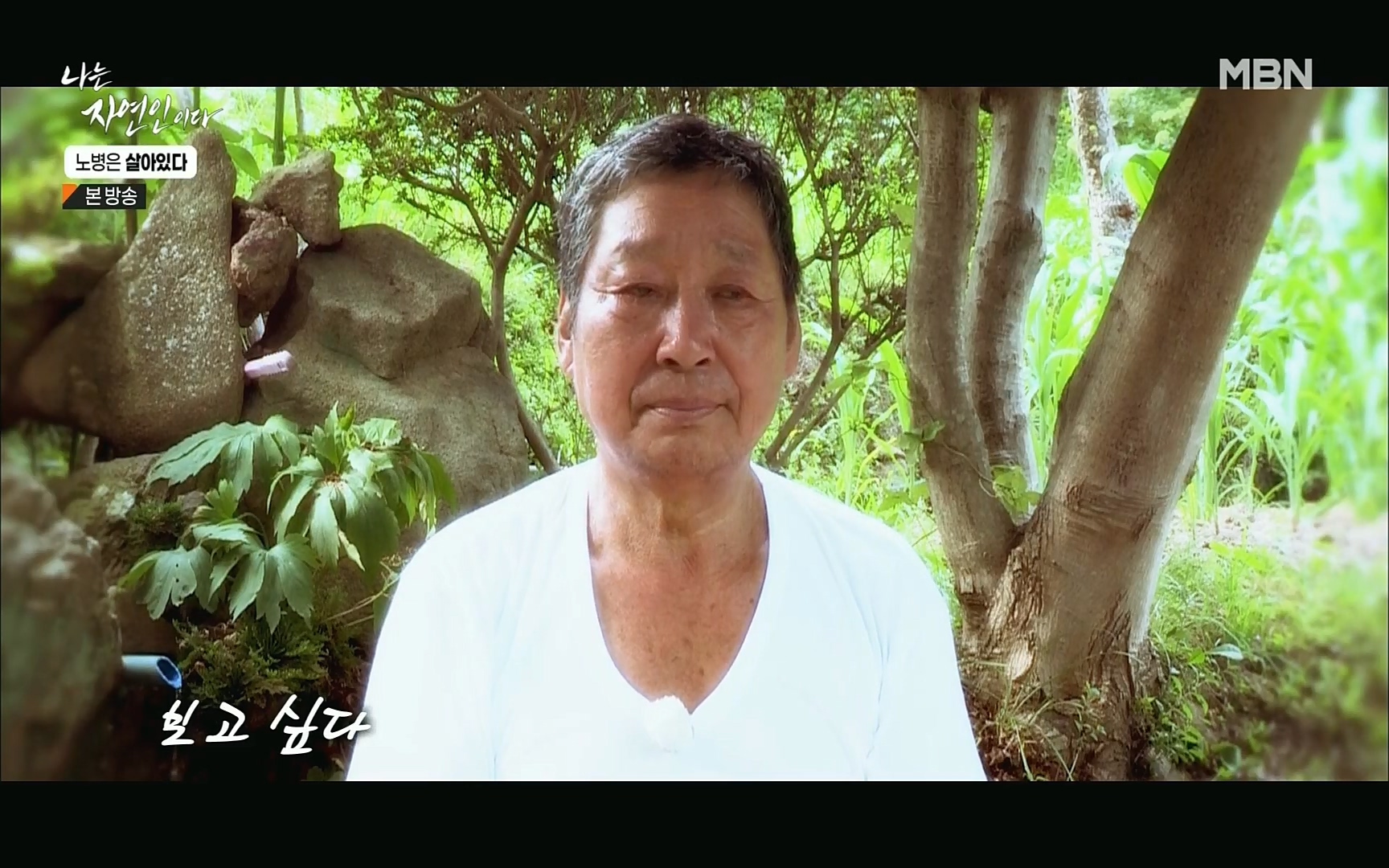 나는 자연인이다.E512.220727p.H264-F1RST.mp4_20220728_200758.579.jpg