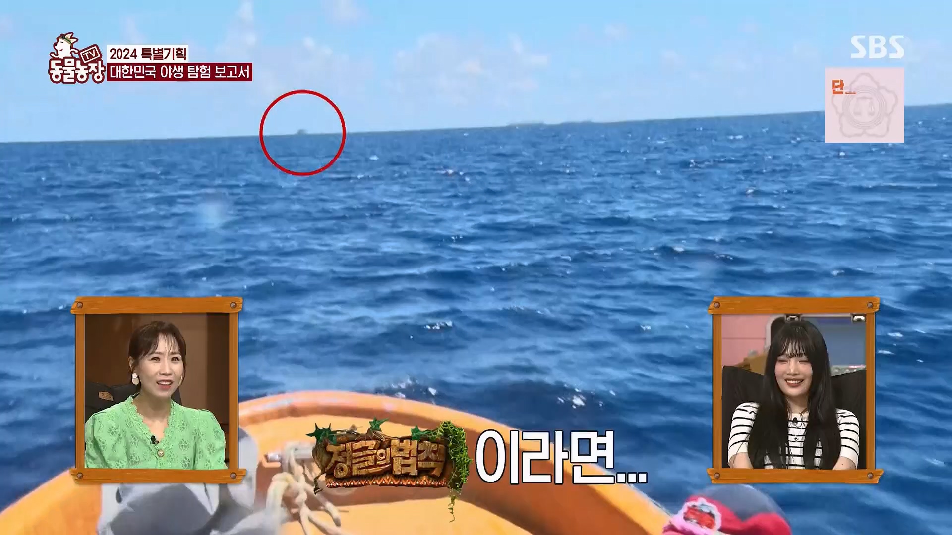 TV 동물농장.E1180.240714p.H264-F1RST.mp4_20240715_201724.912.jpg