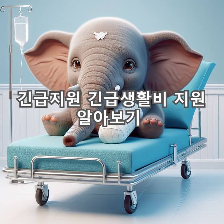  긴급생활지원금 이럴때 꼭 확인해 보고 신청하세요