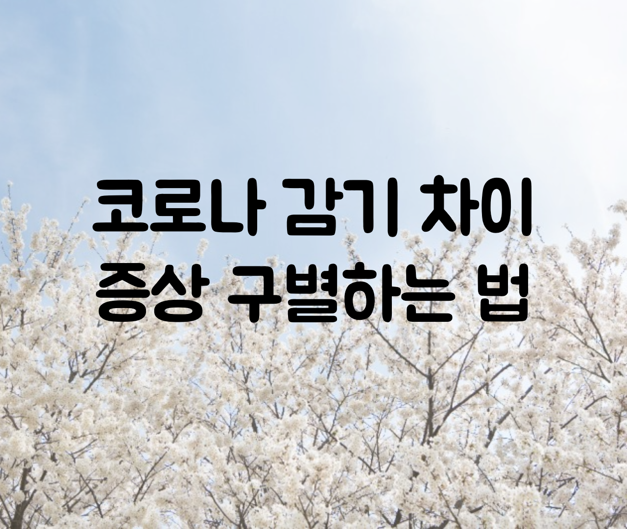  코로나 감기 차이, 구별, 바이러스, 증상 / 감기몸살과 코로나 차이