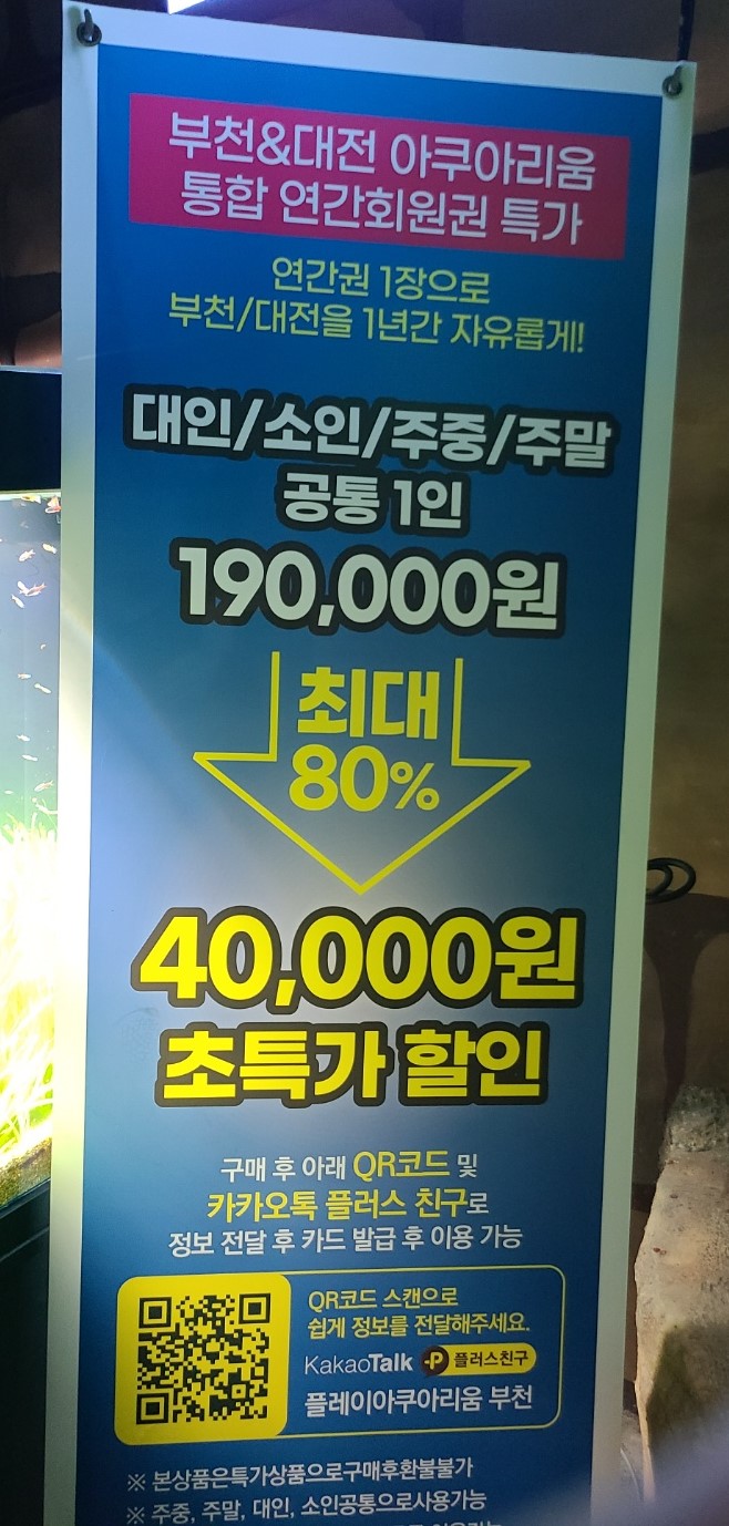 부천/대전 통합 연간회원권 초특가 4만원